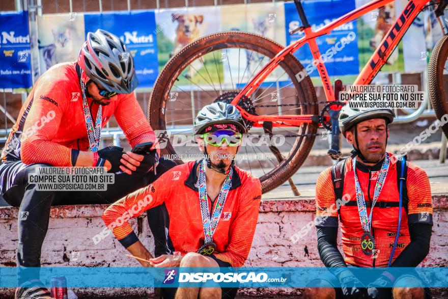 Circuito AEJ MTB 2023