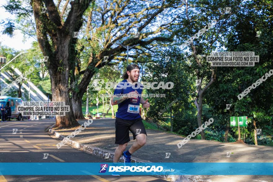 5ª Amadeus Beer Run