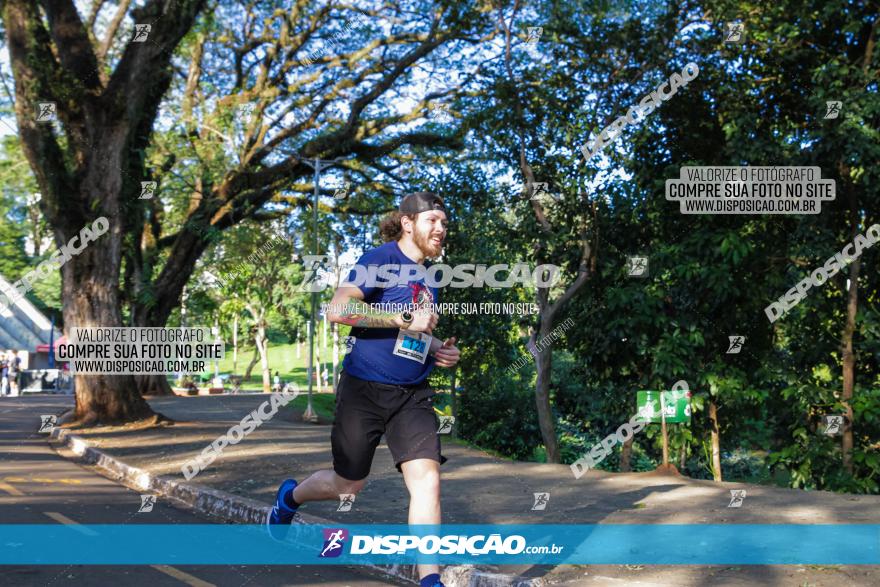 5ª Amadeus Beer Run