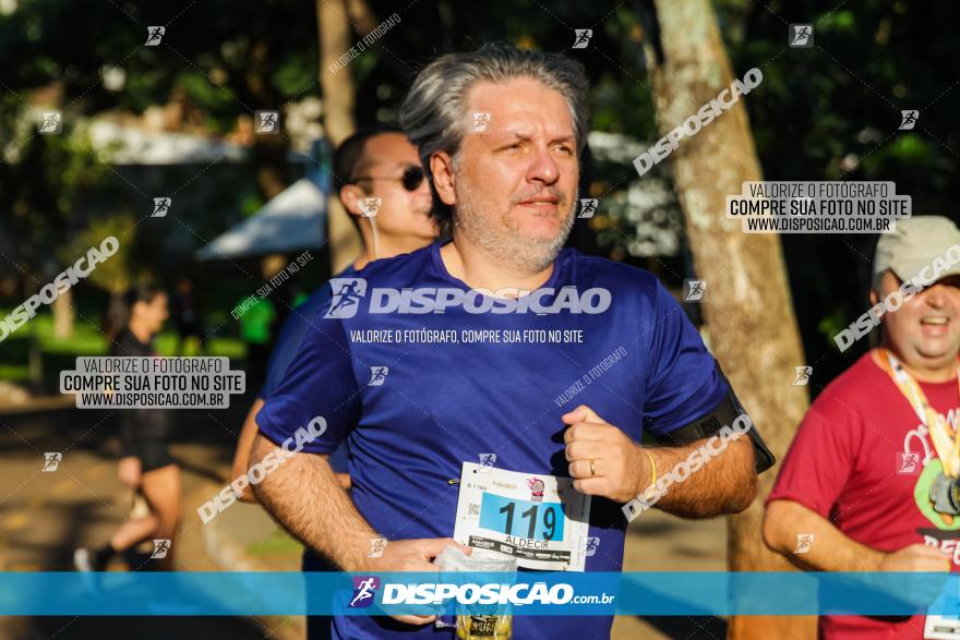 5ª Amadeus Beer Run