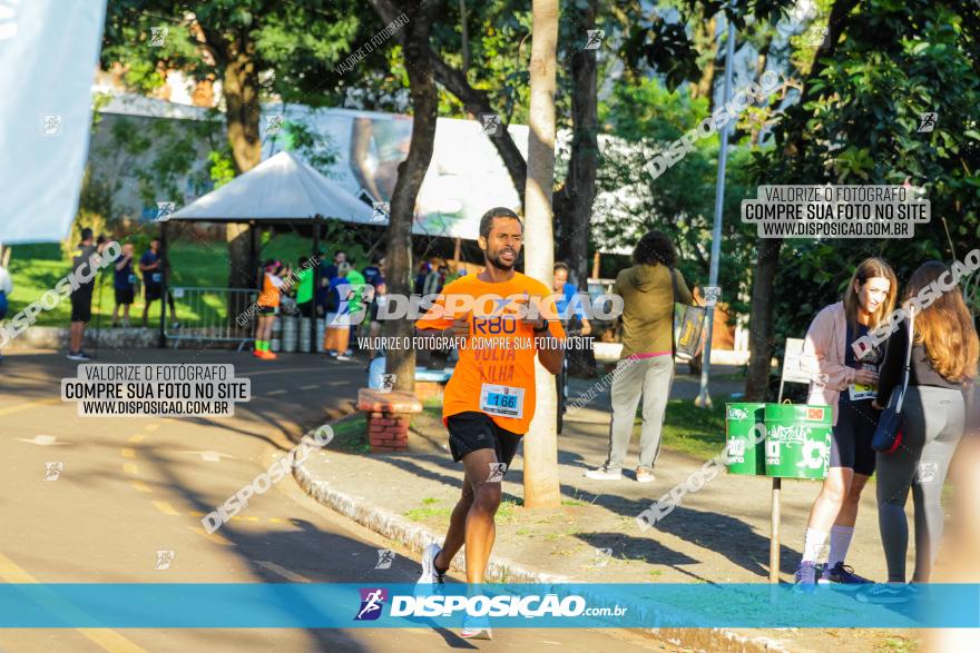 5ª Amadeus Beer Run