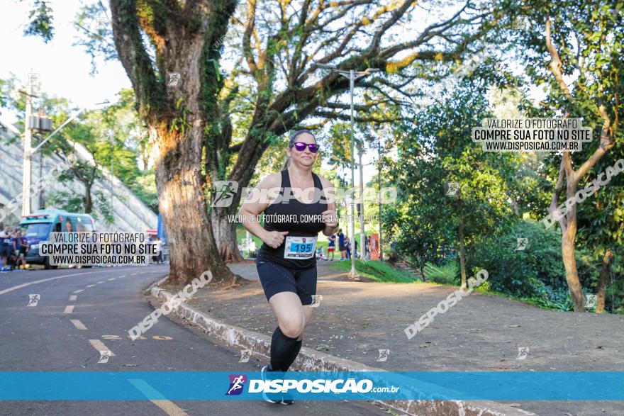 5ª Amadeus Beer Run