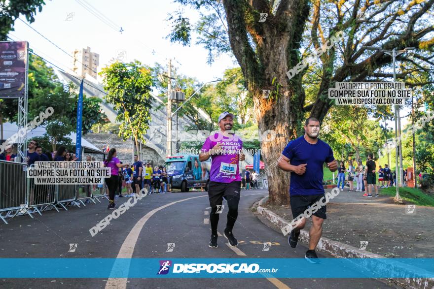 5ª Amadeus Beer Run