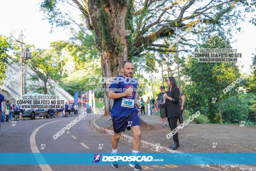 5ª Amadeus Beer Run