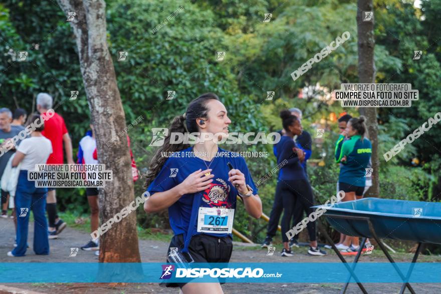 5ª Amadeus Beer Run