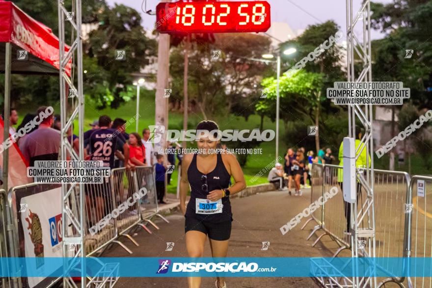 5ª Amadeus Beer Run