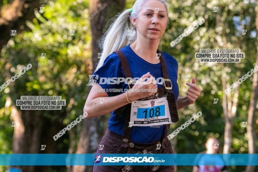 5ª Amadeus Beer Run