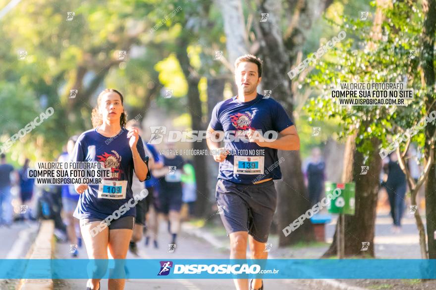 5ª Amadeus Beer Run