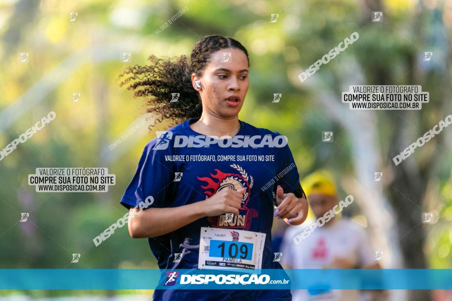 5ª Amadeus Beer Run