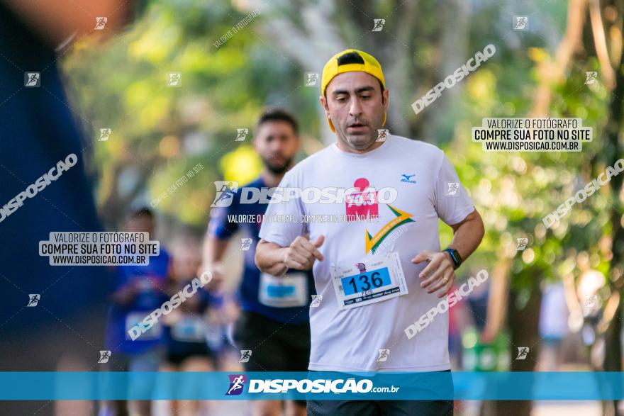 5ª Amadeus Beer Run