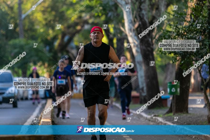 5ª Amadeus Beer Run