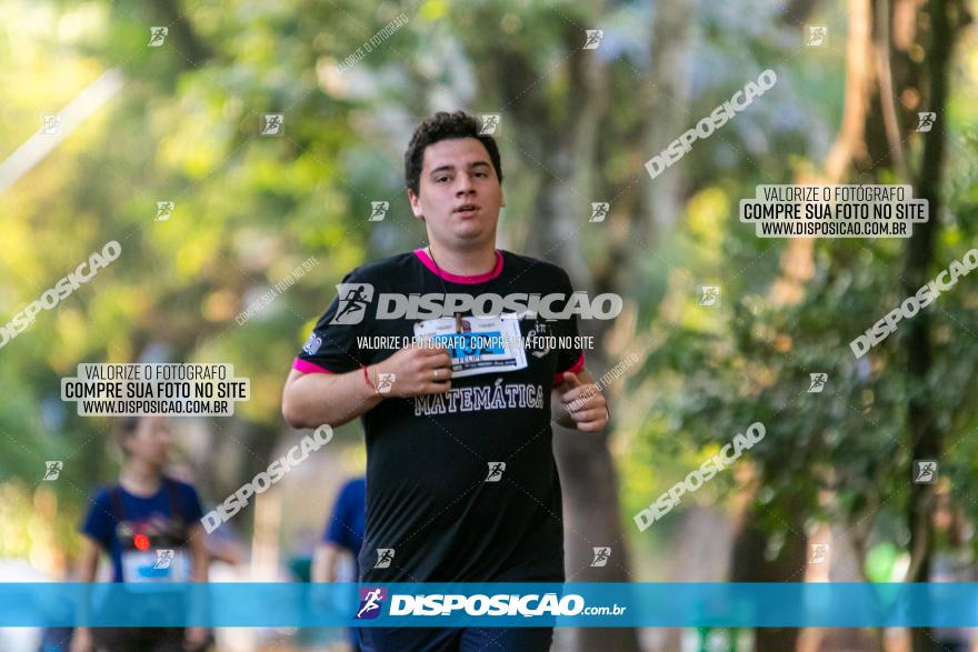 5ª Amadeus Beer Run