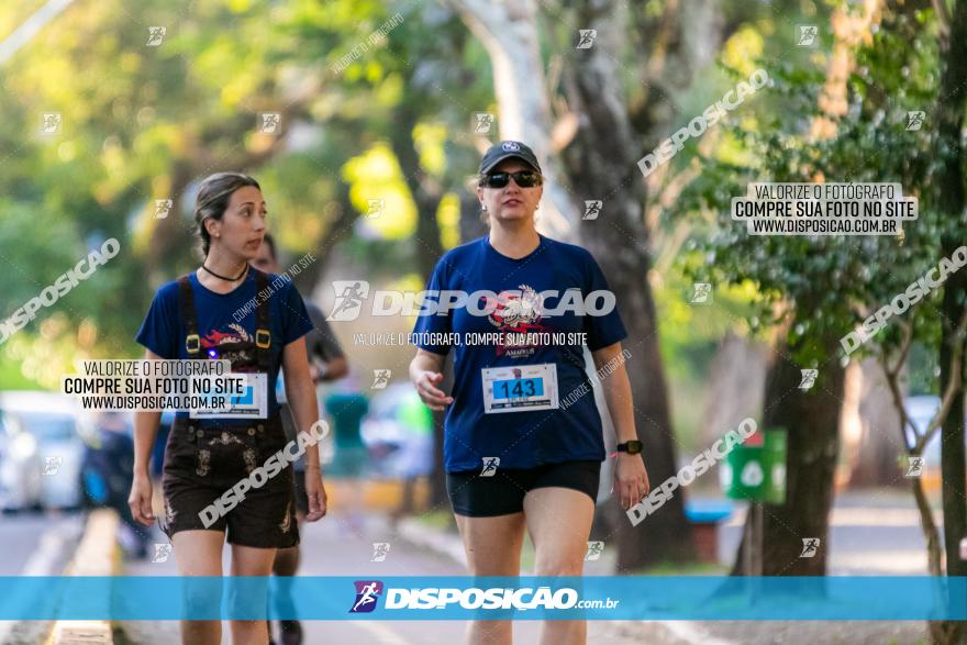 5ª Amadeus Beer Run