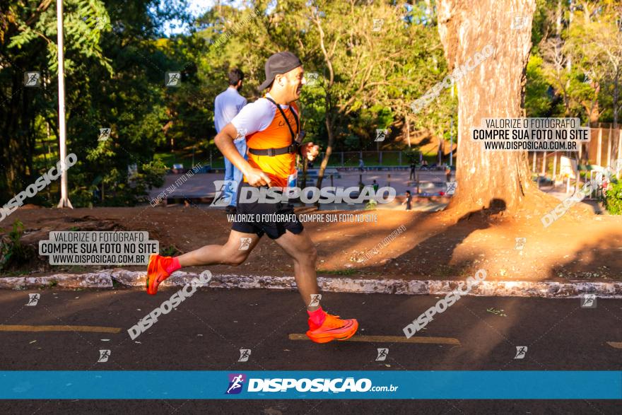 5ª Amadeus Beer Run