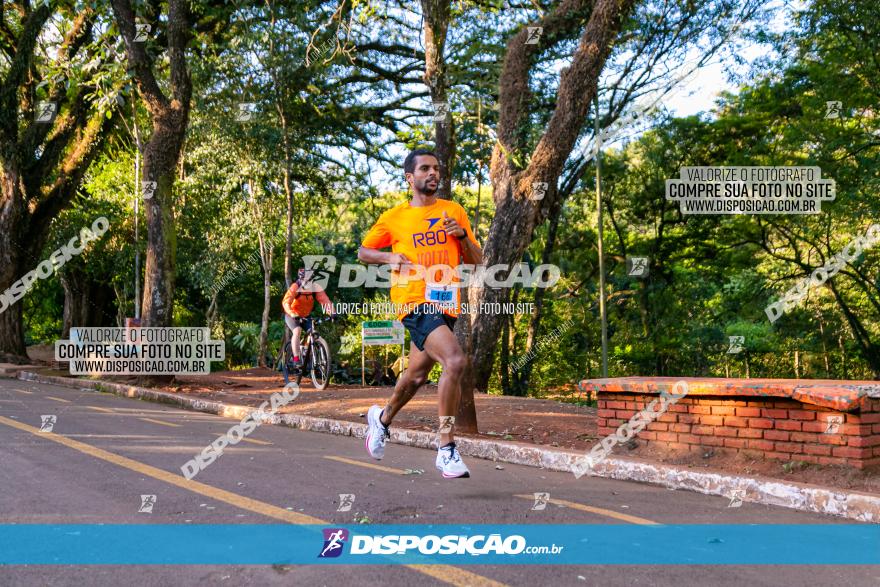 5ª Amadeus Beer Run