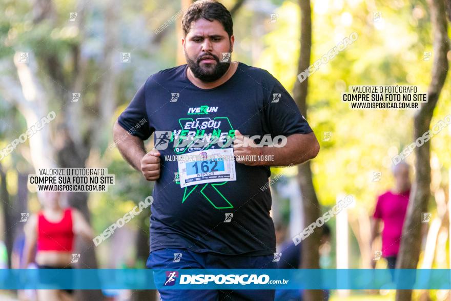 5ª Amadeus Beer Run