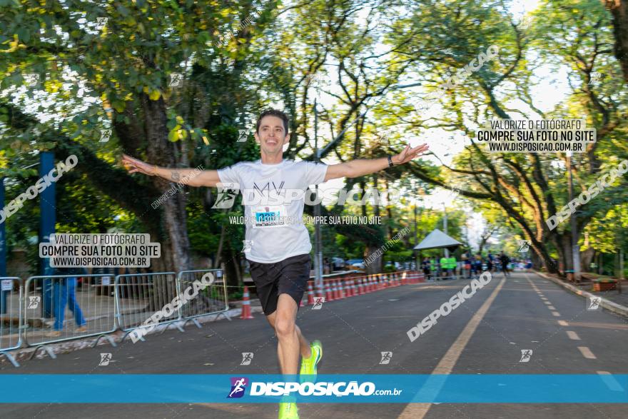 5ª Amadeus Beer Run