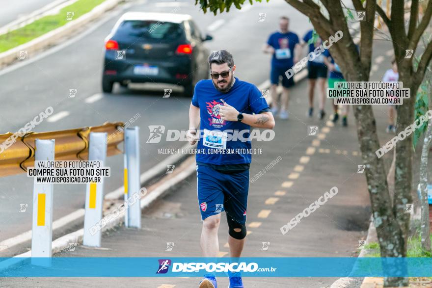 5ª Amadeus Beer Run