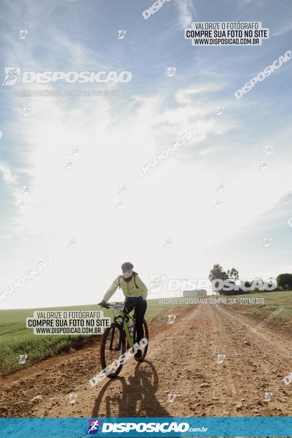 Rota das Catedrais 2023