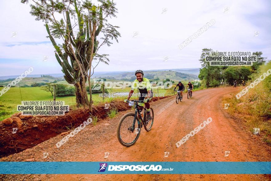 Rota das Catedrais 2023