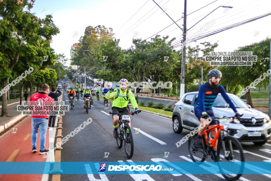 Rota das Catedrais 2023