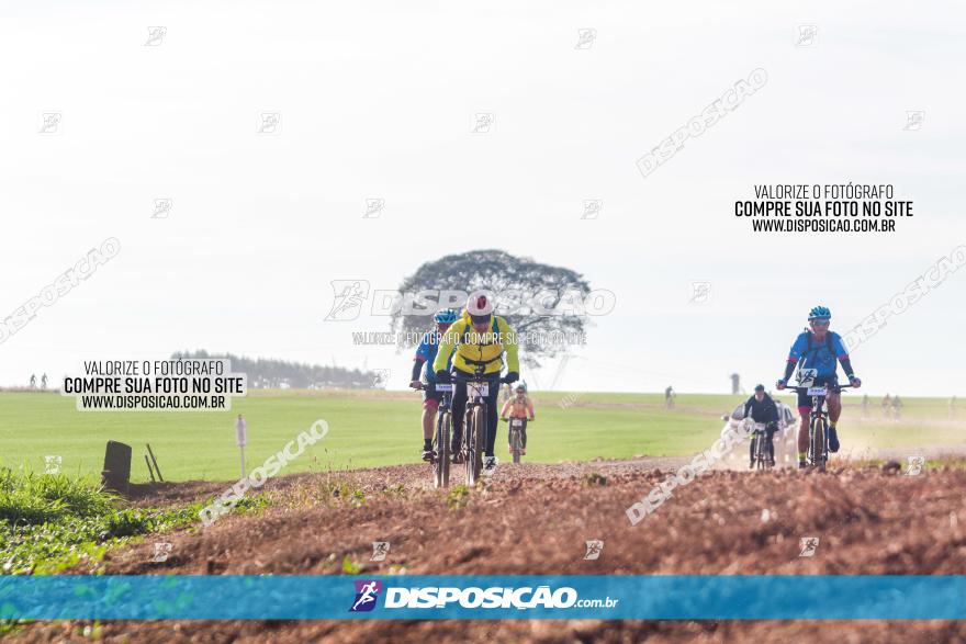 Rota das Catedrais 2023