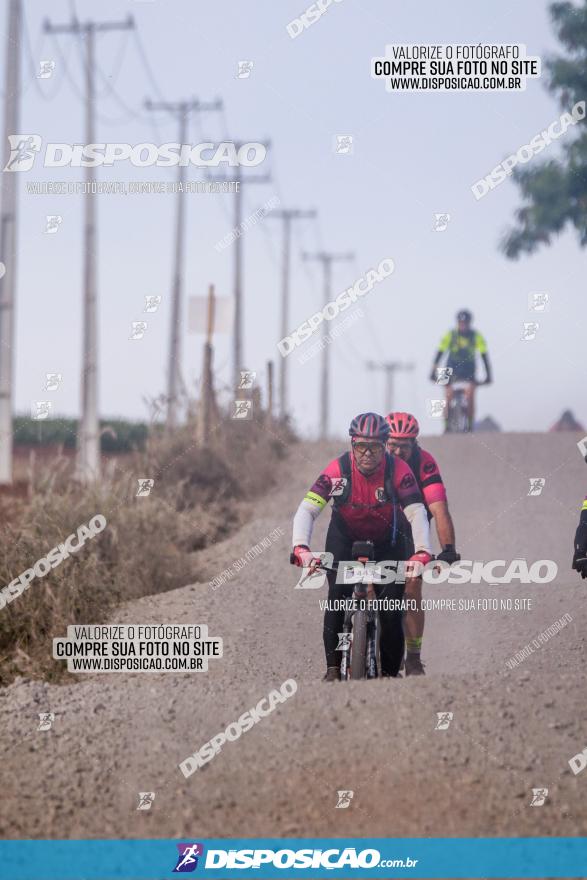 Rota das Catedrais 2023