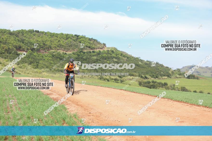 Rota das Catedrais 2023