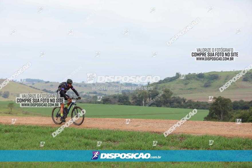 Rota das Catedrais 2023