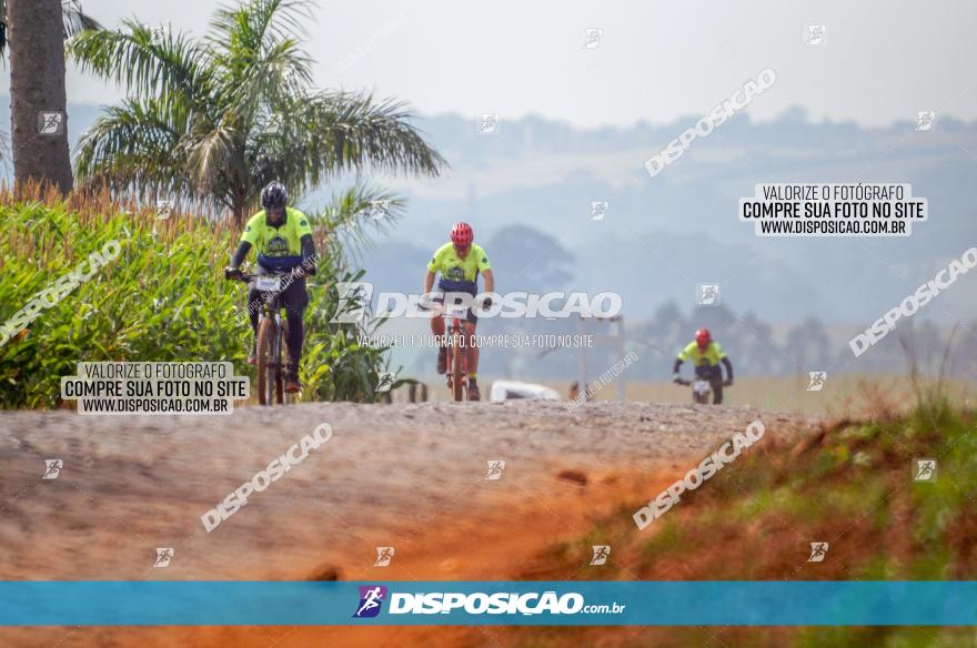 Rota das Catedrais 2023