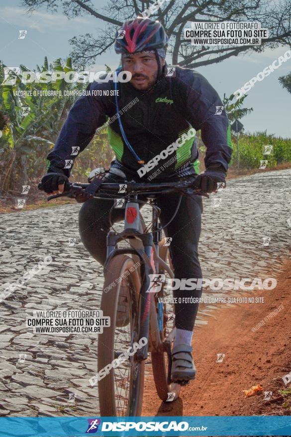 Rota das Catedrais 2023