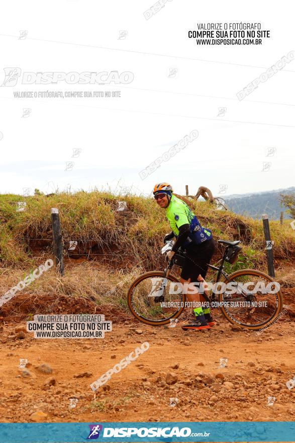 Rota das Catedrais 2023