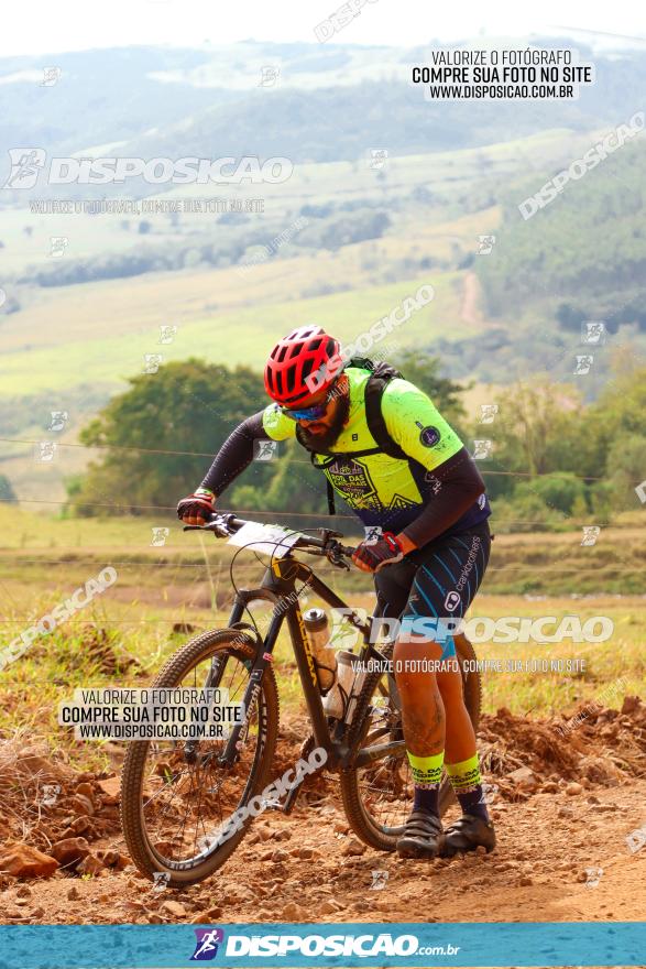 Rota das Catedrais 2023