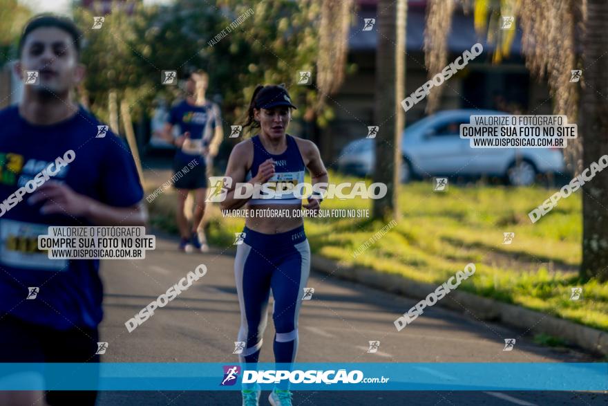 APAE Day Run Rolândia 2023