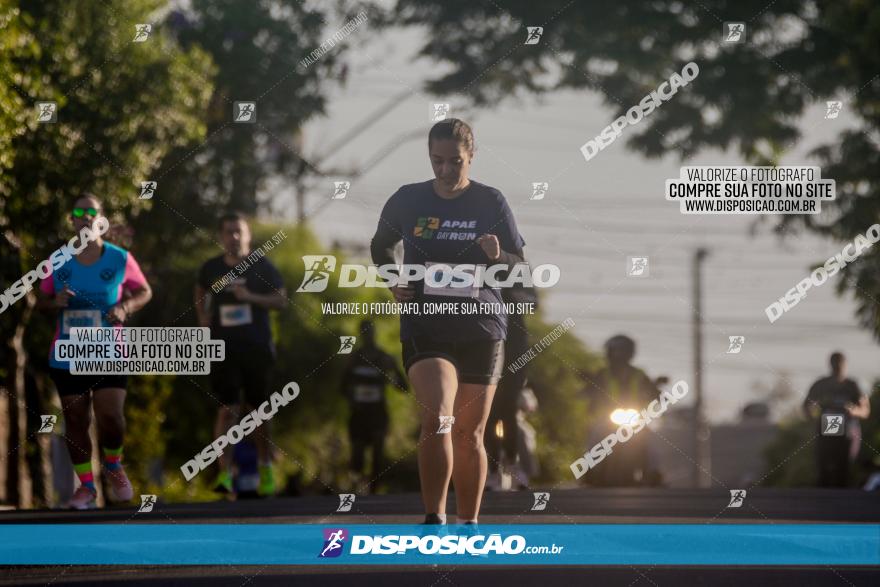 APAE Day Run Rolândia 2023