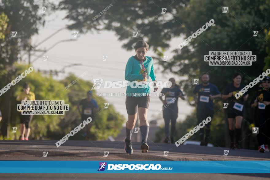 APAE Day Run Rolândia 2023