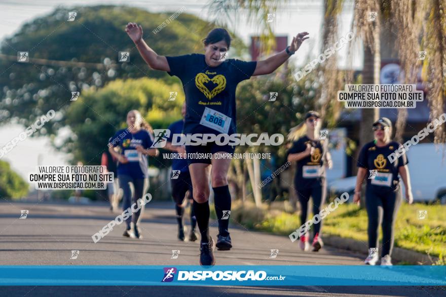 APAE Day Run Rolândia 2023