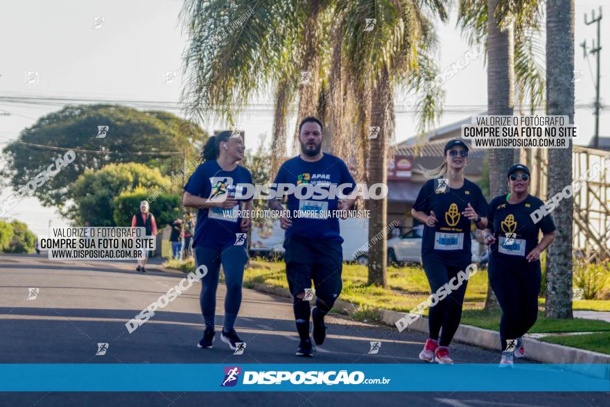 APAE Day Run Rolândia 2023