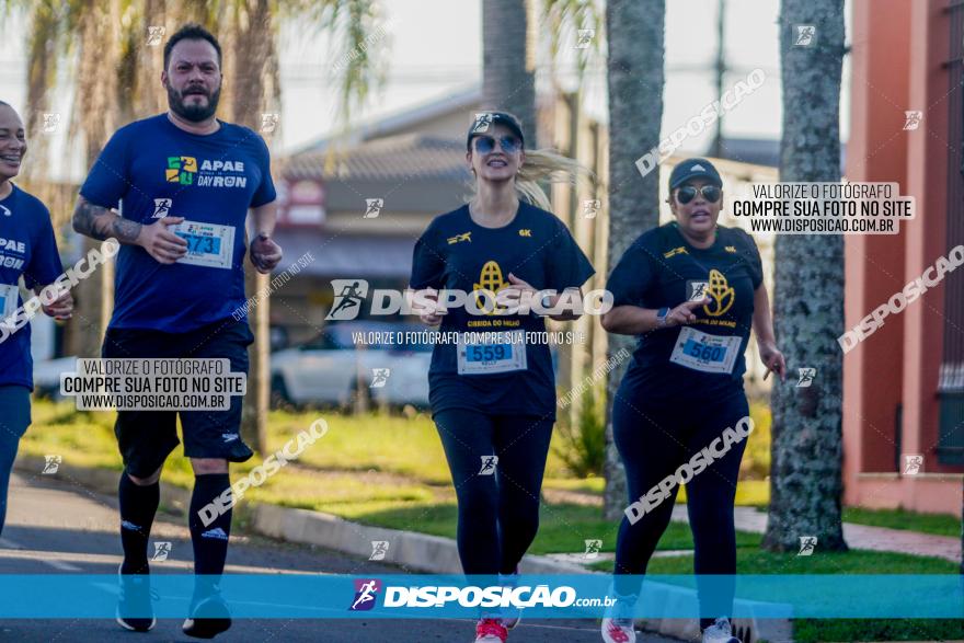 APAE Day Run Rolândia 2023