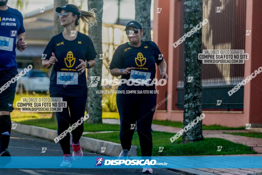 APAE Day Run Rolândia 2023