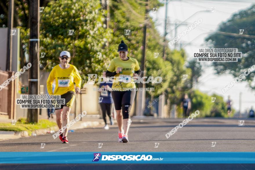 APAE Day Run Rolândia 2023