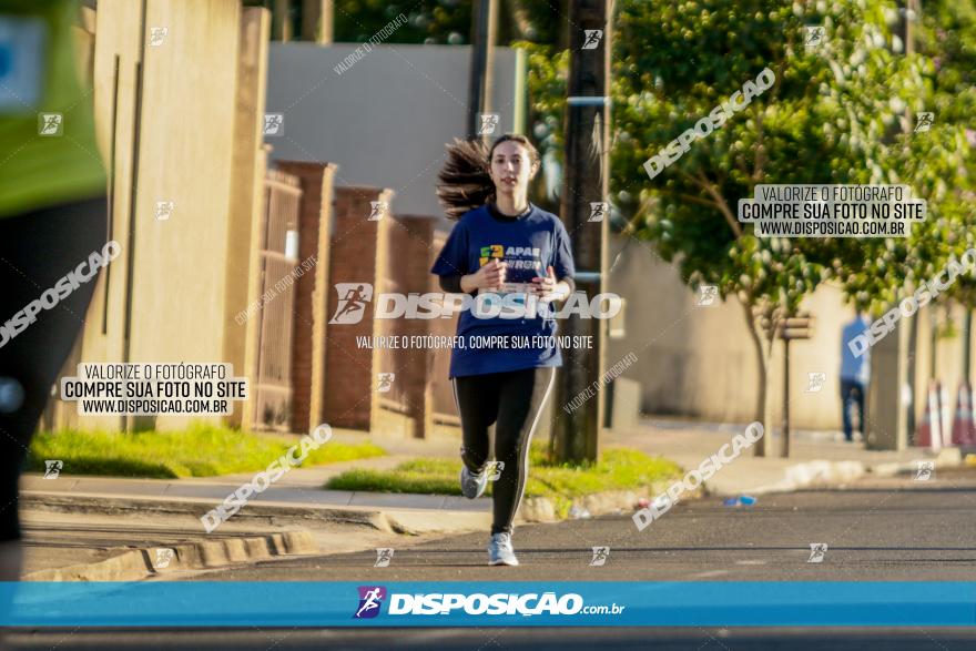 APAE Day Run Rolândia 2023