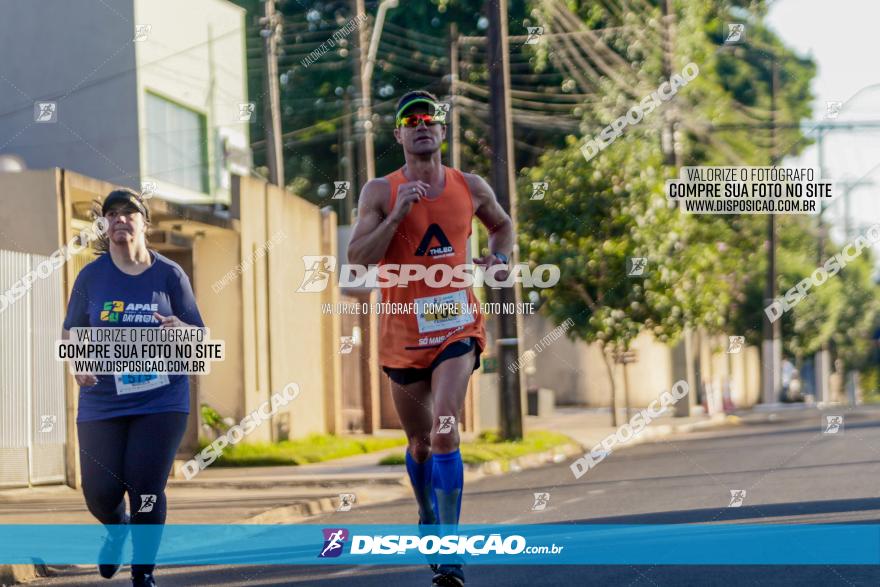 APAE Day Run Rolândia 2023