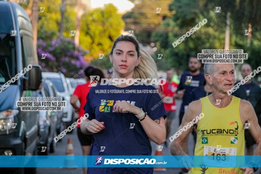 APAE Day Run Rolândia 2023