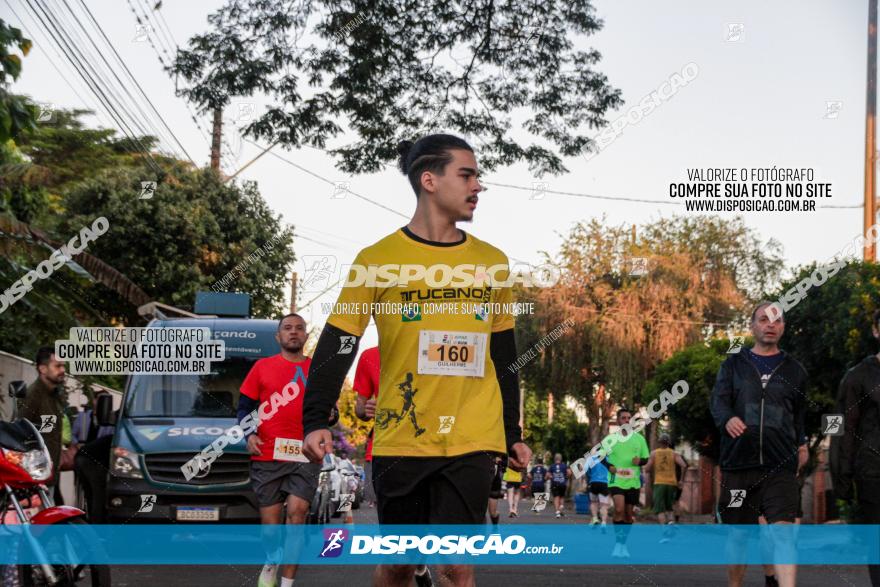 APAE Day Run Rolândia 2023