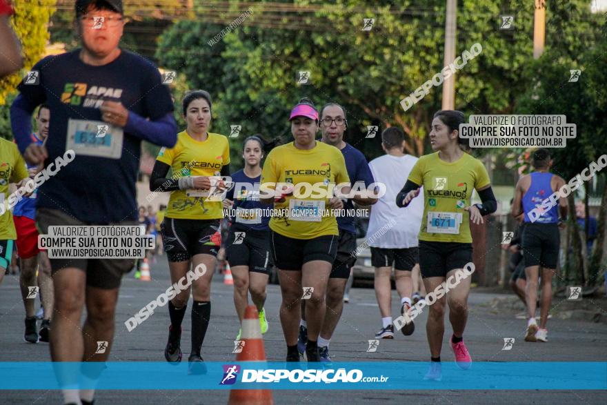 APAE Day Run Rolândia 2023