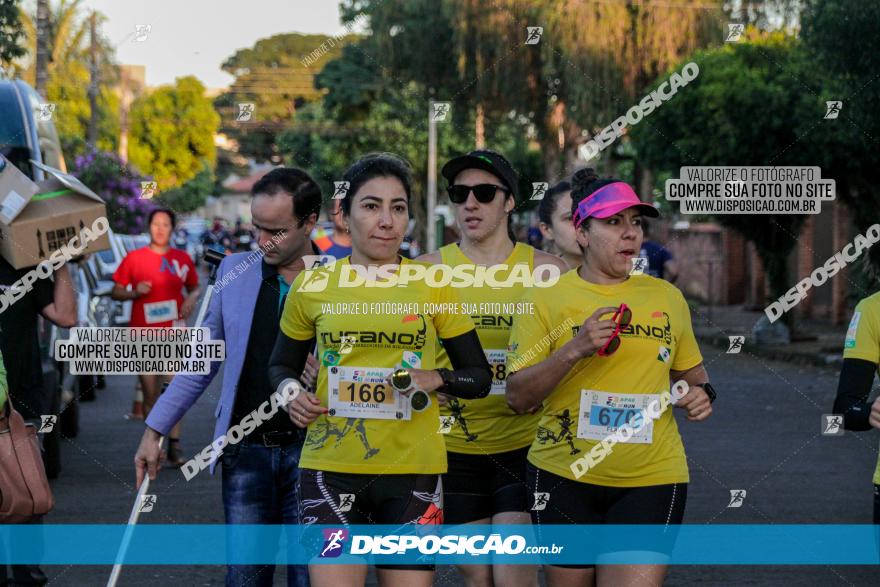 APAE Day Run Rolândia 2023