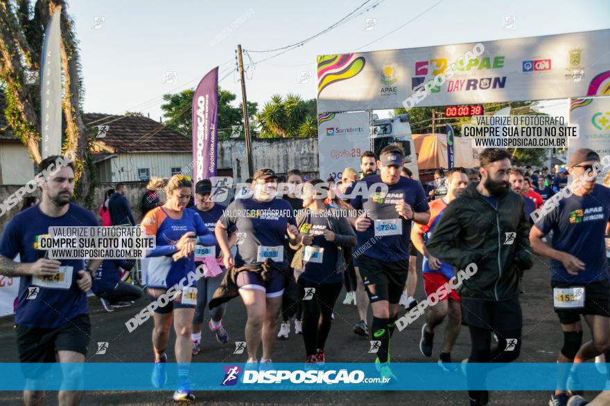 APAE Day Run Rolândia 2023