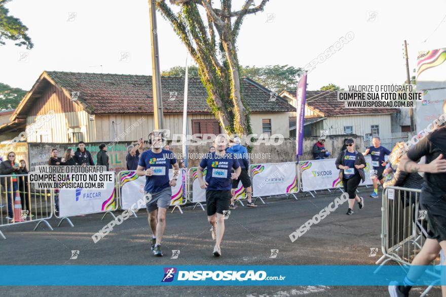 APAE Day Run Rolândia 2023