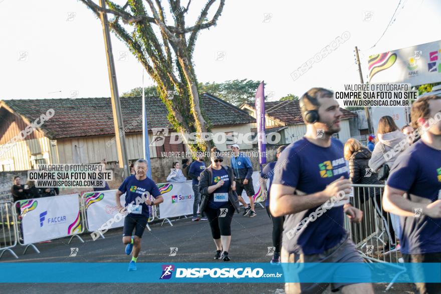 APAE Day Run Rolândia 2023